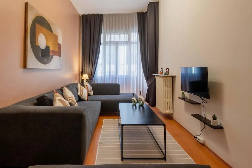 2Br Historical & Spacious Apt. In Heart Of Taksim Appartement Istanboel